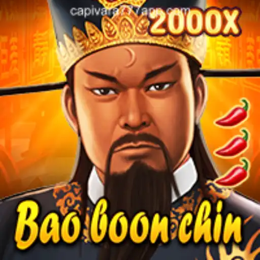 Discovering the Enigma of BaoBoonChin