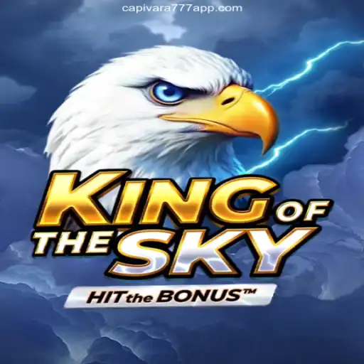 KingOfTheSky: Unveiling the Airborne Adventure